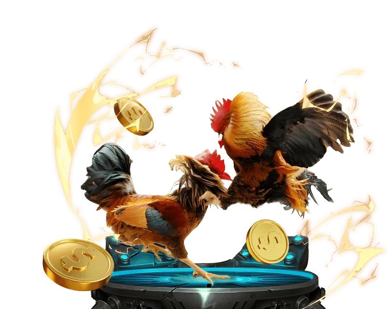 Hướng dẫn đăng ký và đặt cược đá gà tại AE888